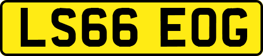 LS66EOG