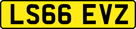 LS66EVZ