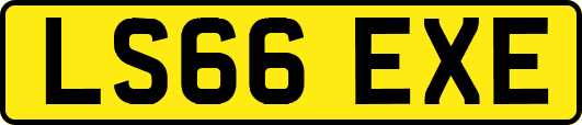 LS66EXE