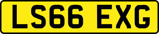 LS66EXG