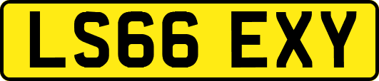 LS66EXY