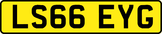 LS66EYG