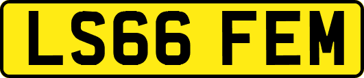 LS66FEM