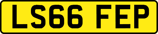 LS66FEP
