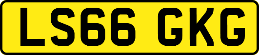 LS66GKG