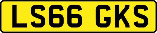 LS66GKS