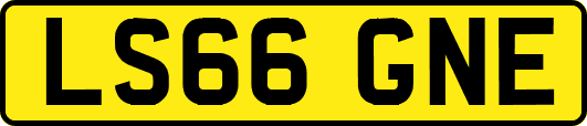 LS66GNE