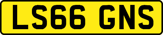 LS66GNS