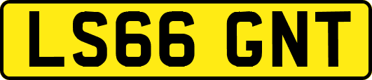 LS66GNT