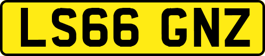 LS66GNZ