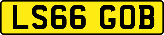 LS66GOB