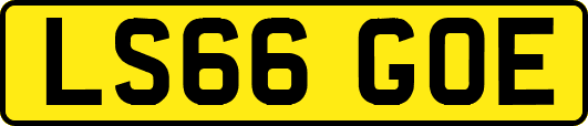 LS66GOE