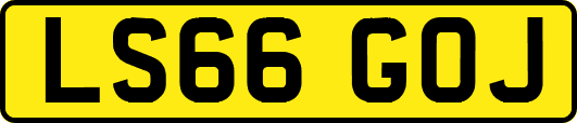 LS66GOJ