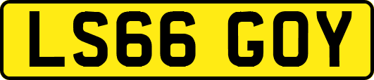 LS66GOY