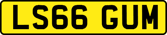 LS66GUM