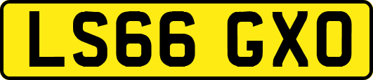 LS66GXO