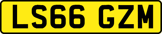 LS66GZM