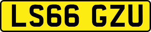 LS66GZU