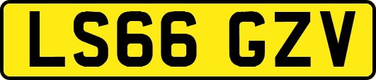 LS66GZV