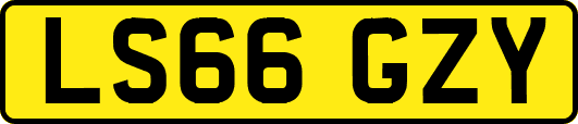 LS66GZY