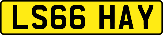 LS66HAY