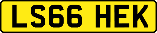 LS66HEK