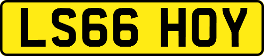 LS66HOY