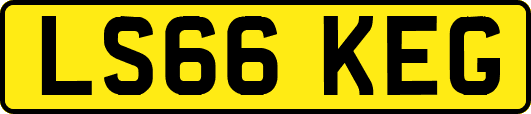 LS66KEG