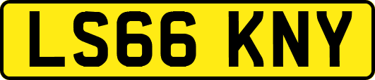 LS66KNY
