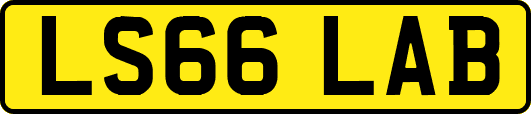 LS66LAB
