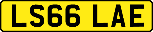 LS66LAE