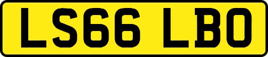 LS66LBO