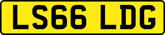 LS66LDG