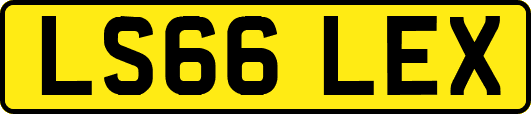 LS66LEX