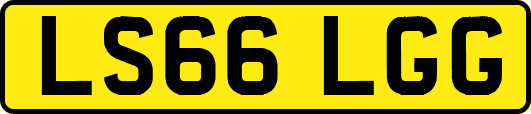 LS66LGG