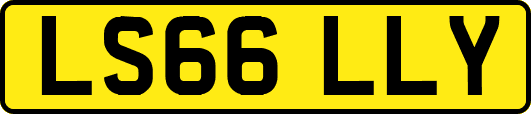LS66LLY