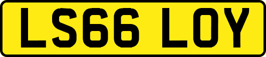 LS66LOY