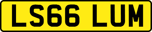 LS66LUM