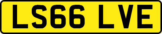 LS66LVE