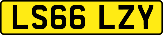 LS66LZY