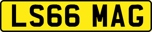 LS66MAG