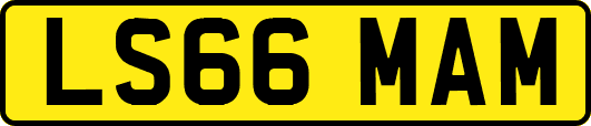 LS66MAM