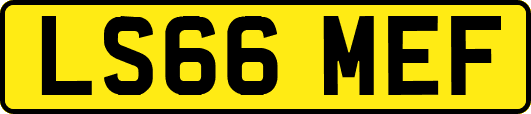 LS66MEF