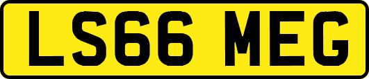LS66MEG
