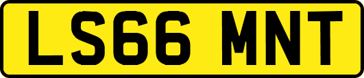 LS66MNT