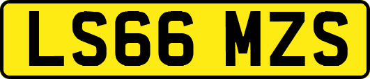 LS66MZS