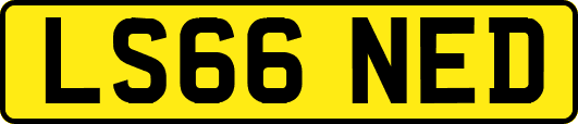 LS66NED