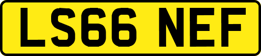 LS66NEF