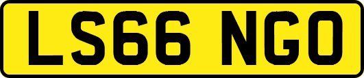 LS66NGO