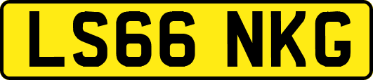 LS66NKG